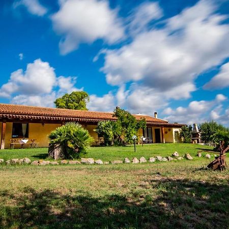 Agriturismo Carrucana Martis Exterior photo