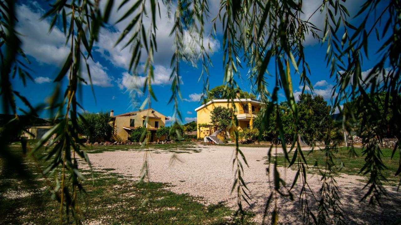 Agriturismo Carrucana Martis Exterior photo